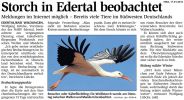 HNA: Storch in Edertal beobachtet